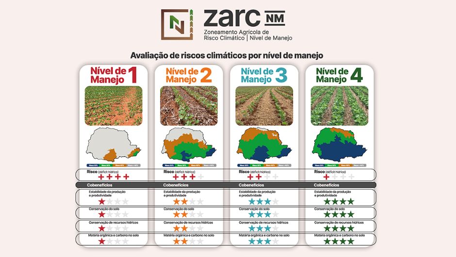 Infográfico dos quatro níveis de manejo do solo NM1 a NM4 com profundidade radicular crescente e evolução das práticas conservacionistas.