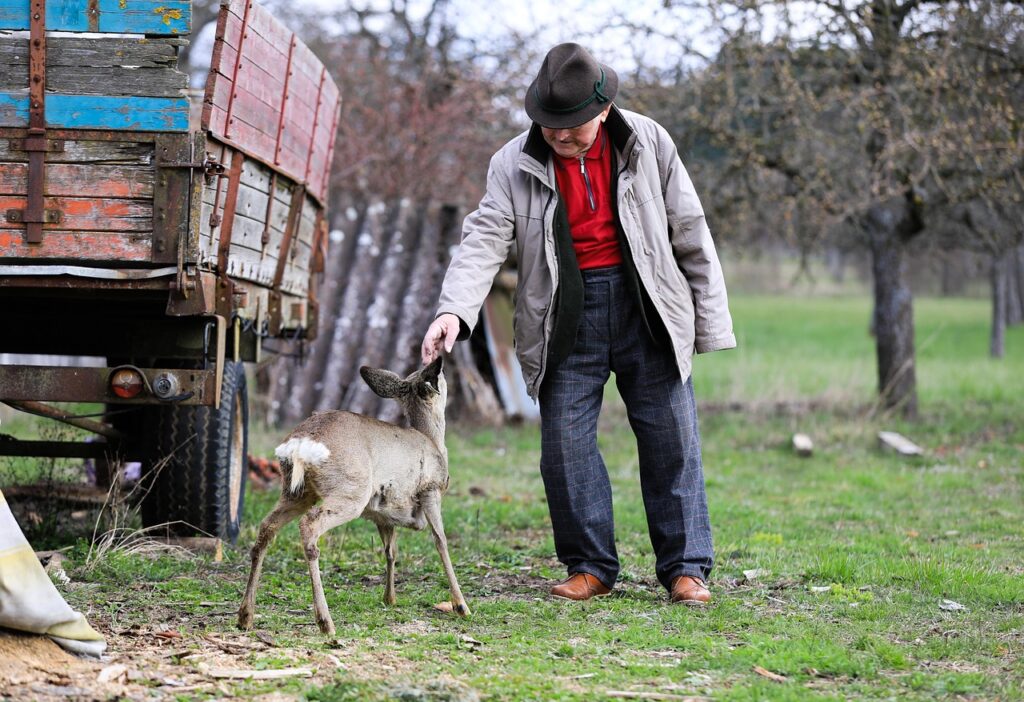 caminhão agrícola com carga de safra protegido por seguro caminhão agro